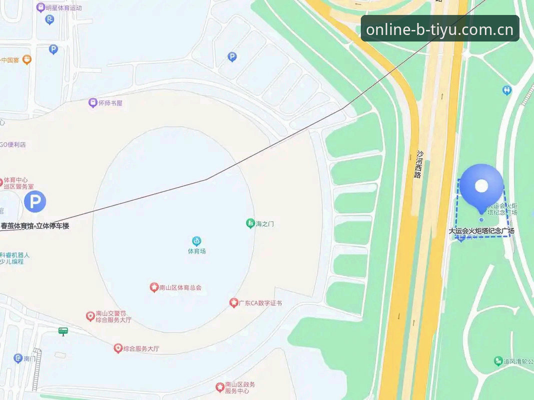 B体育用户评价深度解读与平台使用完整指南